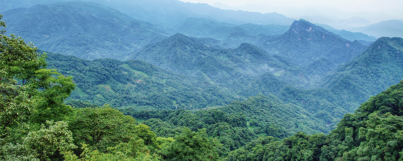 成都到青城山多少公里 成都离青城山有多远