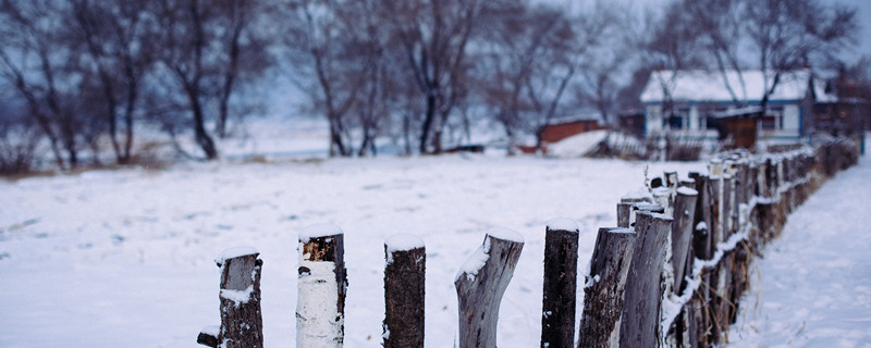 贺新郎把酒长亭说翻译 贺新郎把酒长亭说翻译大全