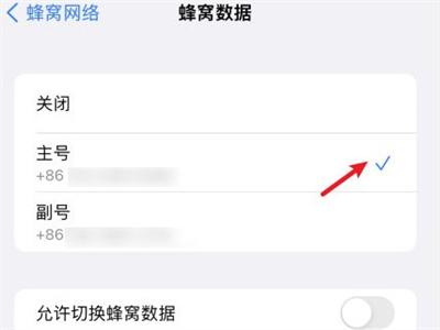 苹果xr双卡双待在哪里设置