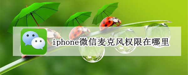 iphone微信麦克风权限在哪里