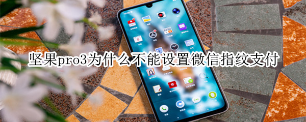 坚果pro3为什么不能设置微信指纹支付