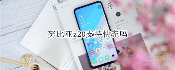 努比亚z20支持快充吗
