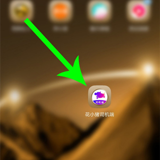 花小猪怎么注册司机