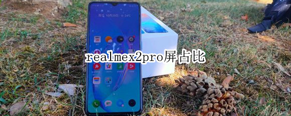 realmex2pro屏占比