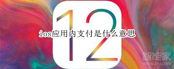 ios应用内支付是什么意思