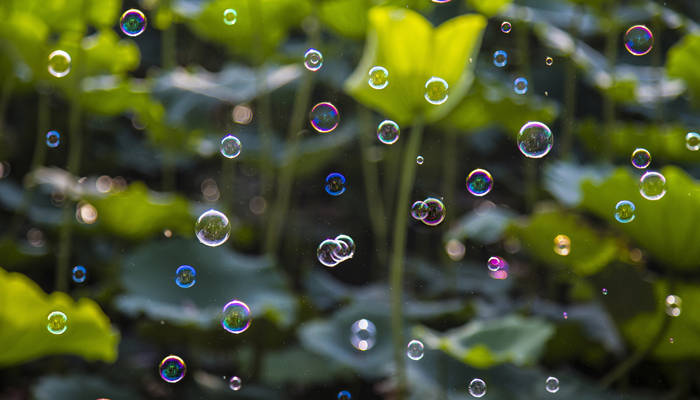 颤巍巍光影零乱的意思 颤巍巍光影零乱出自哪里