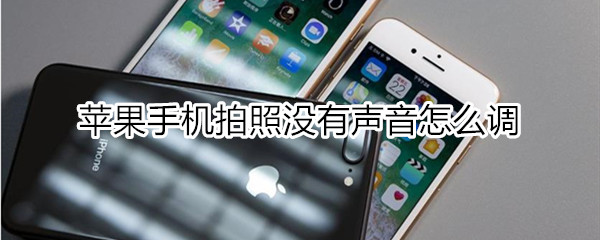 苹果手机拍照没有声音怎么调