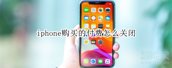 iphone购买的付费怎么关闭