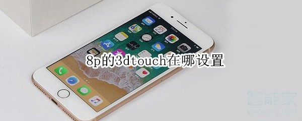 8p的3dtouch在哪设置