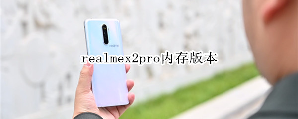 realmex2pro内存版本