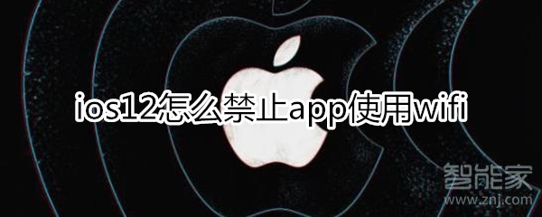 ios12禁止app使用wifi