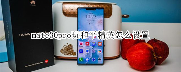 mate30pro玩和平精英怎么设置