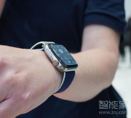 Apple Watch Series 5怎么选表带