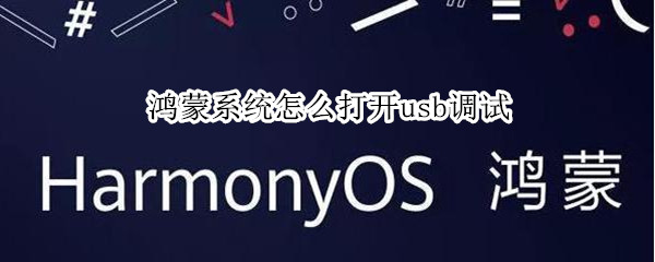 鸿蒙系统怎么打开usb调试