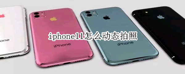 iphone11怎么动态拍照