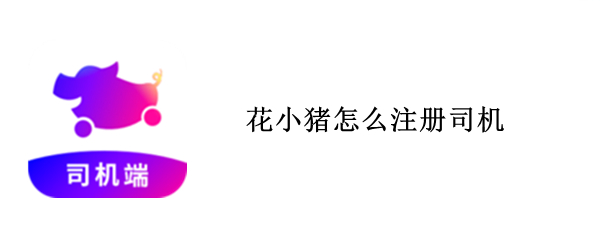 花小猪怎么注册司机