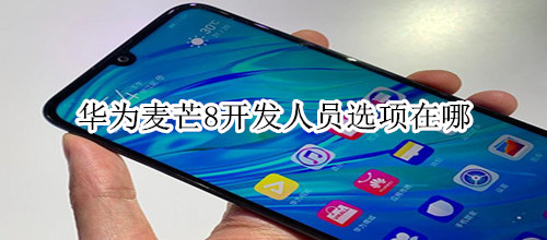 华为麦芒8开发人员选项在哪