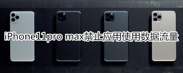 iPhone11pro max怎么禁止应用使用数据流量