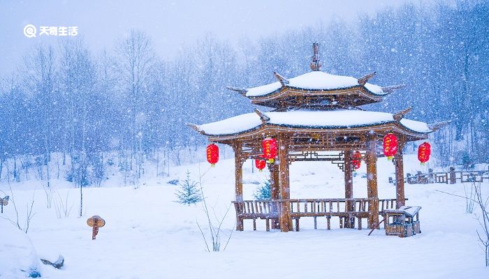 除夜雪表达了什么感情 除夜雪表达了什么思想