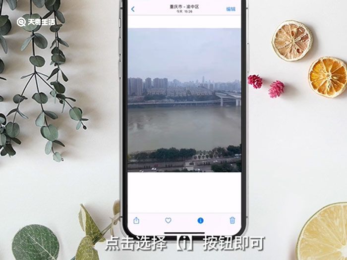 苹果手机怎么看图片的详细信息 苹果手机哪里看图片的详细信息