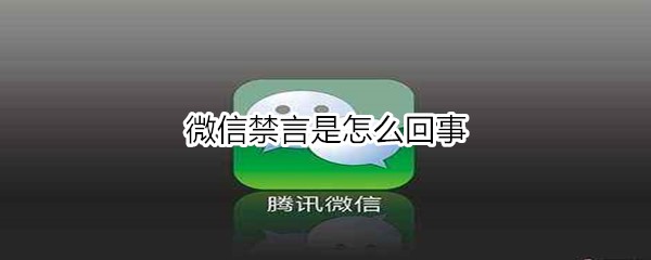 微信禁言是怎么回事