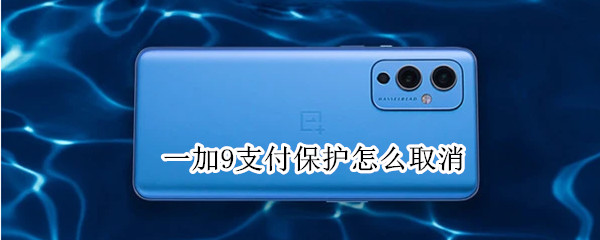 一加9支付保护怎么取消