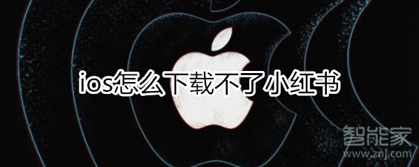 ios小红书下载不了