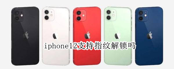 iphone12支持指纹解锁吗