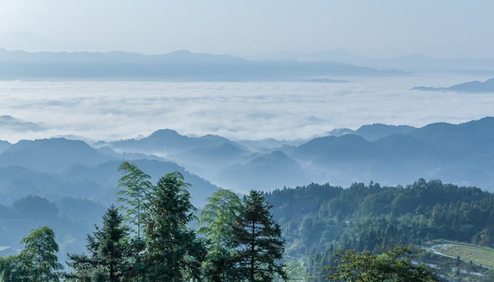 望岳的全诗翻译 望岳全诗翻译