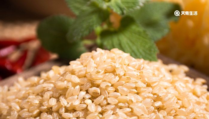 糙米怎么吃 糙米怎么吃比较好