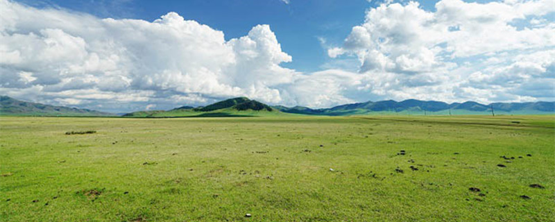 青藏高原湿地成因有哪些 青藏高原湿地的成因