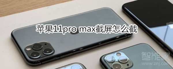 苹果11pro max截屏怎么截