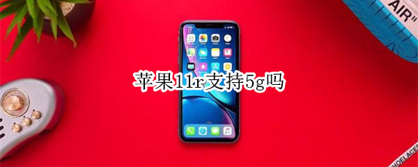 苹果11r支持5g吗