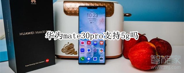 华为mate30pro支持5g吗