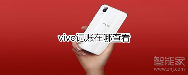 vivo记账在哪查看