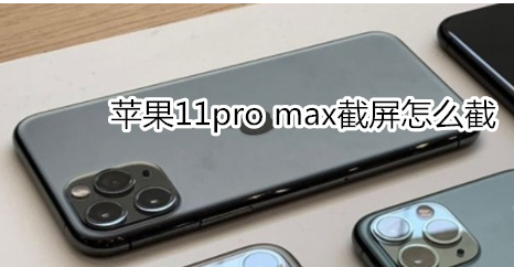 苹果11pro max截屏怎么截