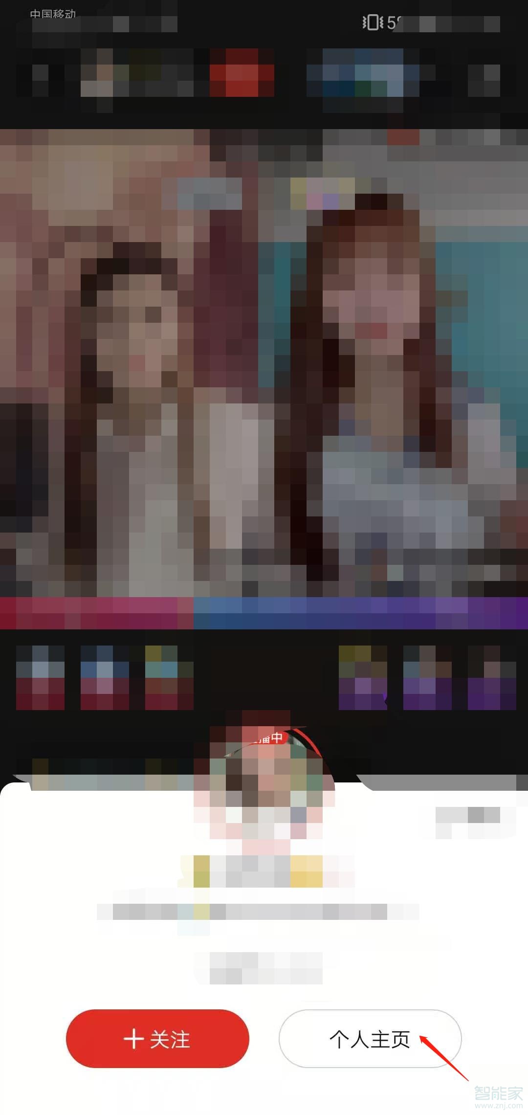 拼多多直播回放在哪里看