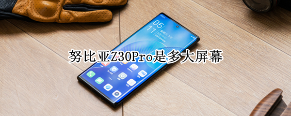 努比亚Z30Pro是多大屏幕