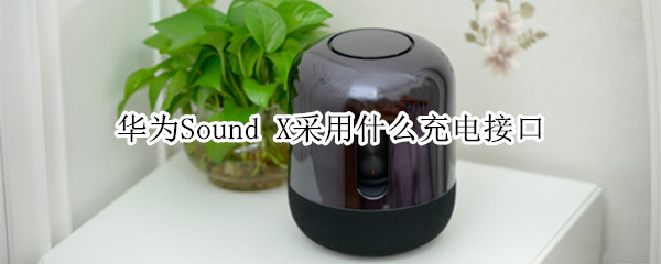 华为Sound X采用什么充电接口