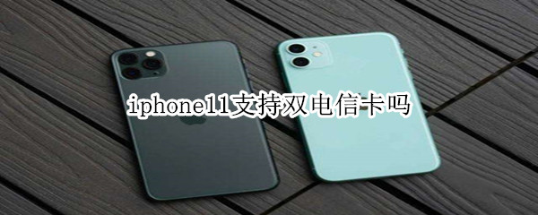 iphone11支持双电信卡吗