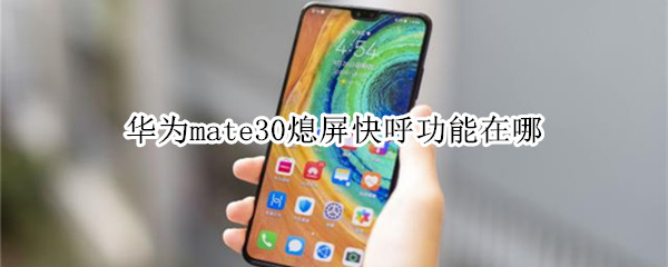 华为mate30熄屏快呼功能在哪