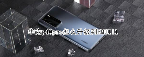 华为p40pro怎么升级到EMUI11