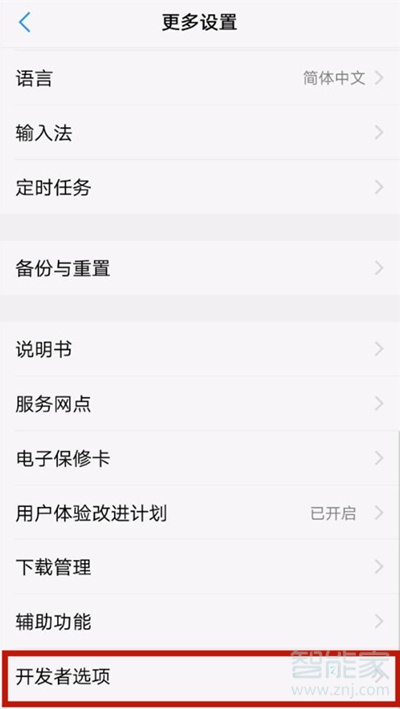 vivoy52s开发者选项在哪