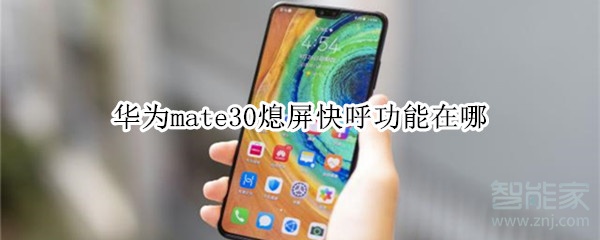 华为mate30熄屏快呼功能在哪