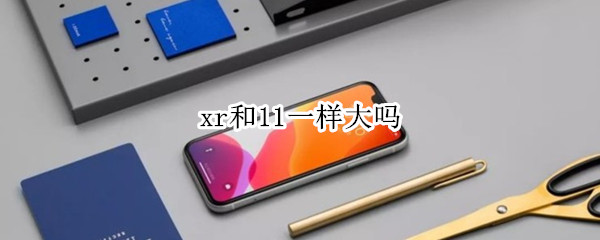 xr和11一样大吗