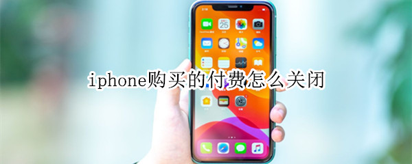 iphone购买的付费怎么关闭