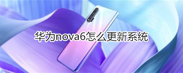 华为nova6怎么更新系统