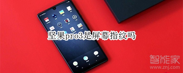 坚果pro3是屏幕指纹吗