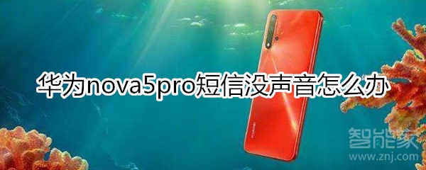 华为nova5pro短信没声音怎么办