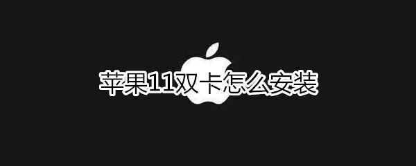 苹果11双卡怎么安装